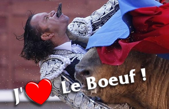 boeuf.jpg